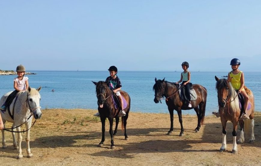Horse Riding