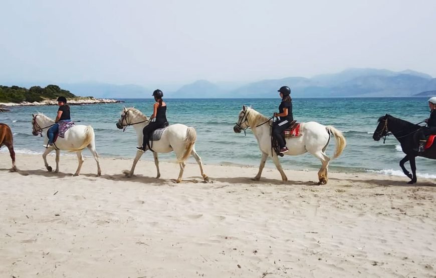Horse Riding